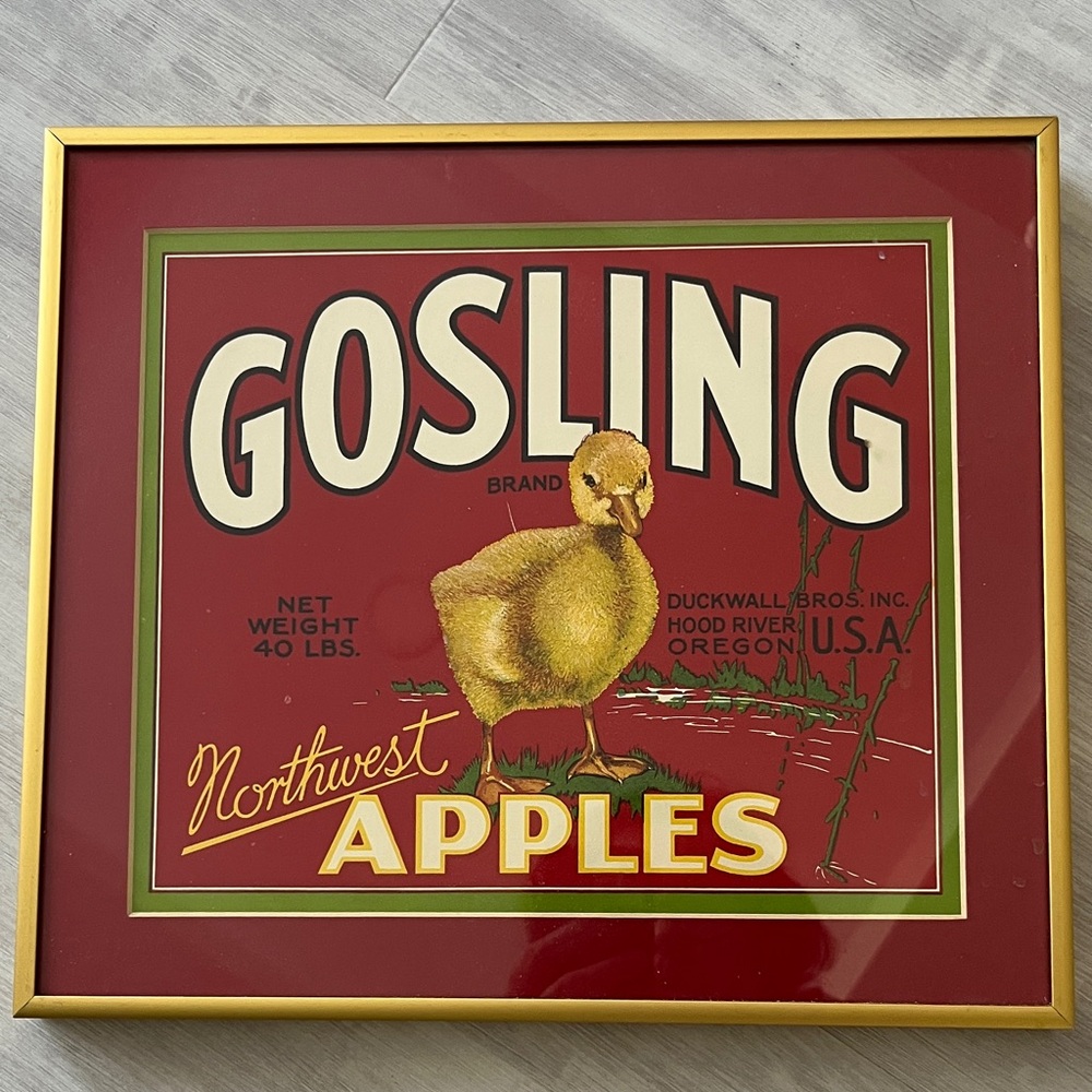 Gosling Apples Vintage Framed &Matted Print Northwest USA